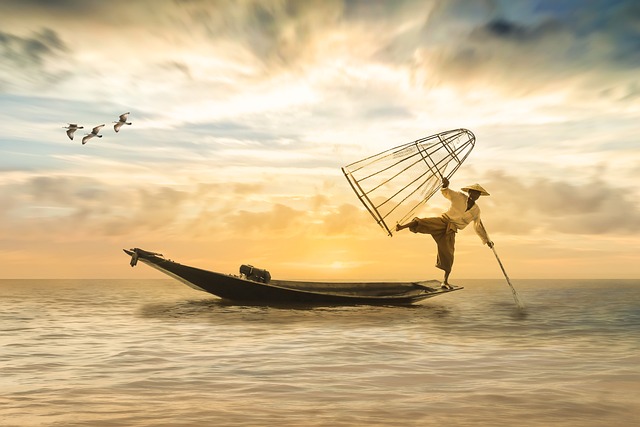 Duiken in de onderwaterwereld: een ontdekkingsreis langs vissoorten, hun kenmerken, habitats, gedrag, voedingsgewoonten en hun bescherming